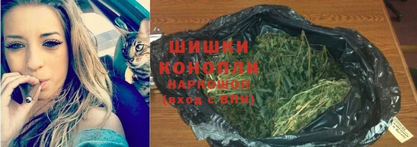 прущие крисы Горнозаводск
