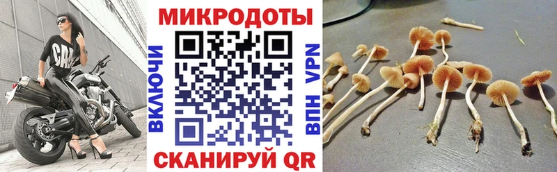 дарнет шоп  Новохопёрск  Псилоцибиновые грибы GOLDEN TEACHER 